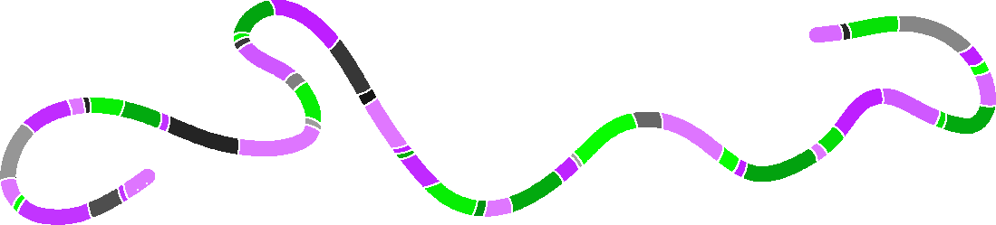 a long and colorful worm.